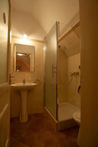 Гостевой дом Casa din Parc Ковасна Двухместный номер с 1 кроватью и собственной ванной комнатой-10